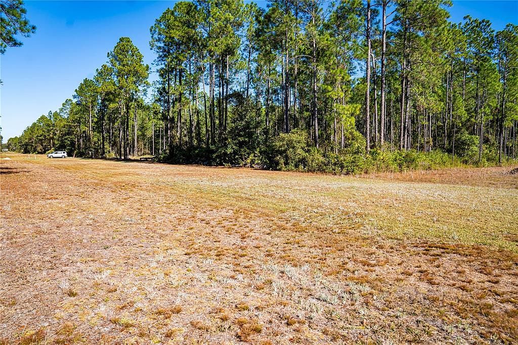 101 Thyme Dr #23 Interlachen, FL 32148 - Thumbnail 5