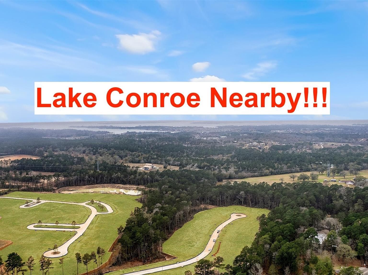 144 Red Cascade Ct Willis, TX 77318 - Thumbnail 5