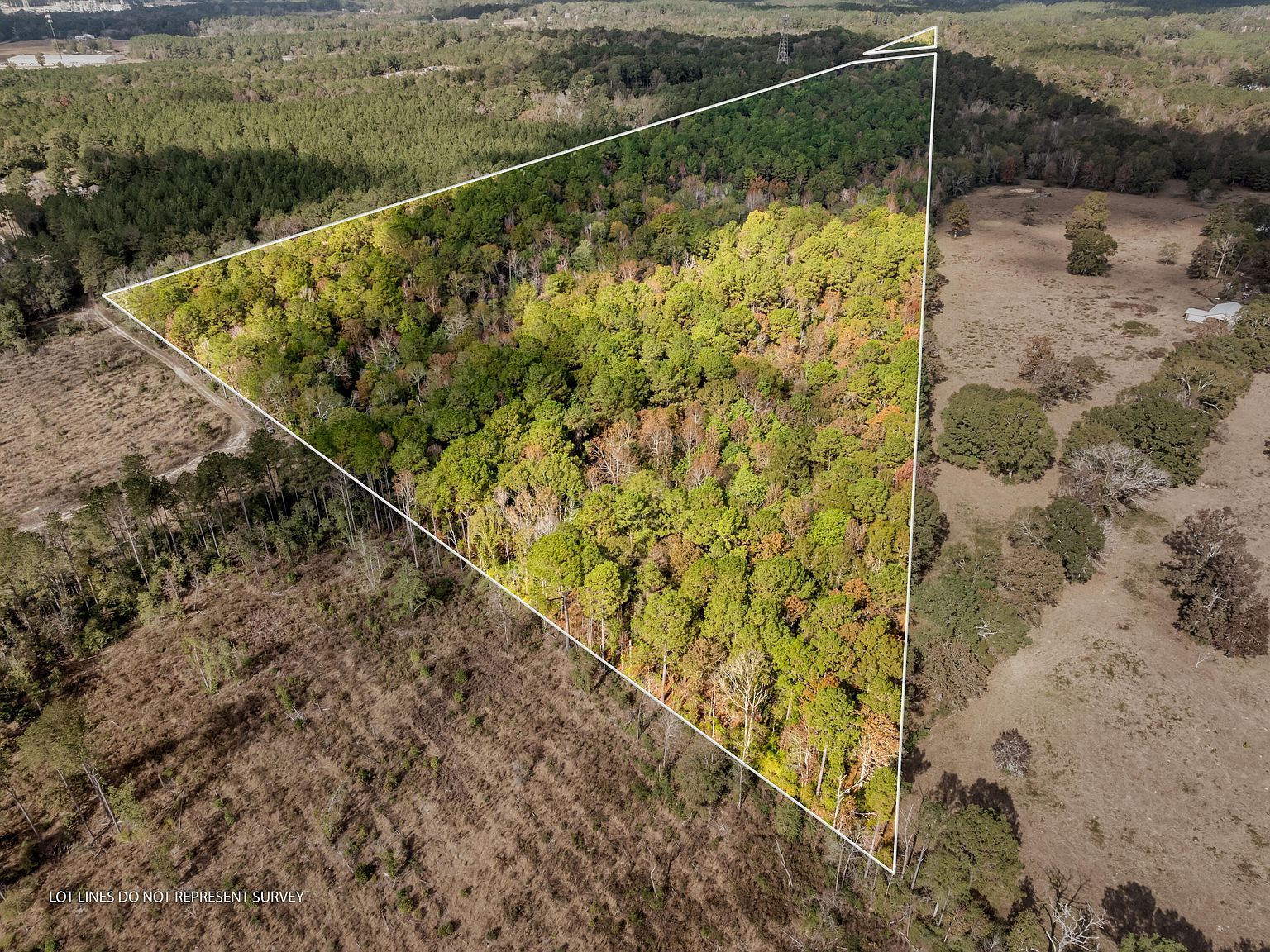 0 State Highway 11 Moselle, MS 39459 - Thumbnail 5