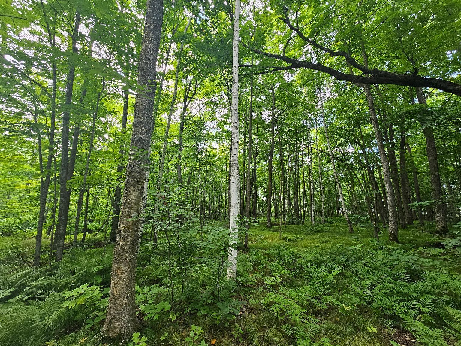 28017 303rd Pl Aitkin, MN 56431 - Thumbnail 5