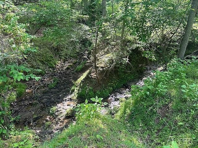 303 Harrison Creek Rd Amherst, VA 24521 - Thumbnail 5