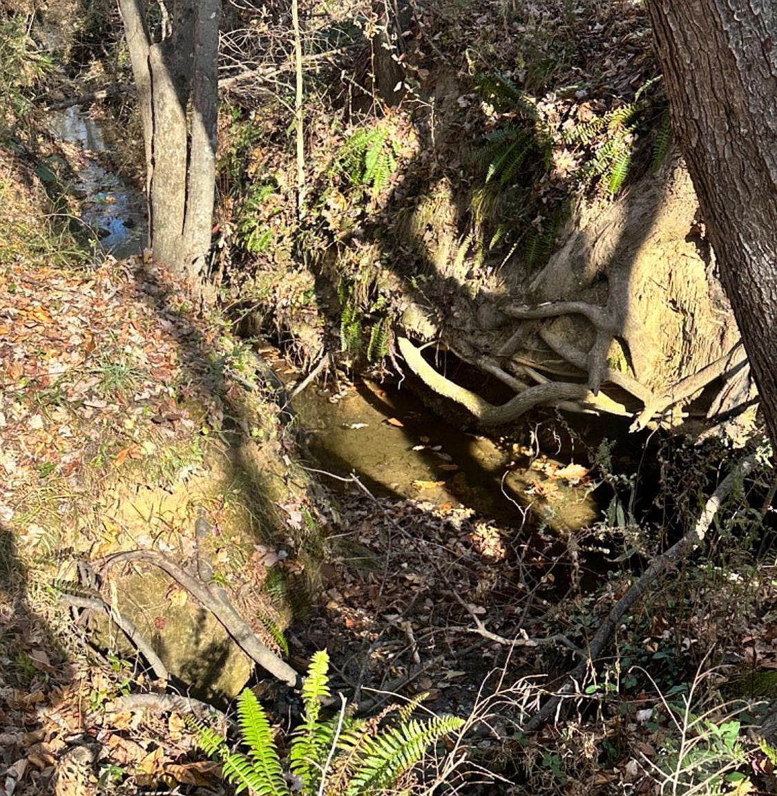 LOT -2B Police Tower Rd Appomattox, VA 24522 - Thumbnail 5