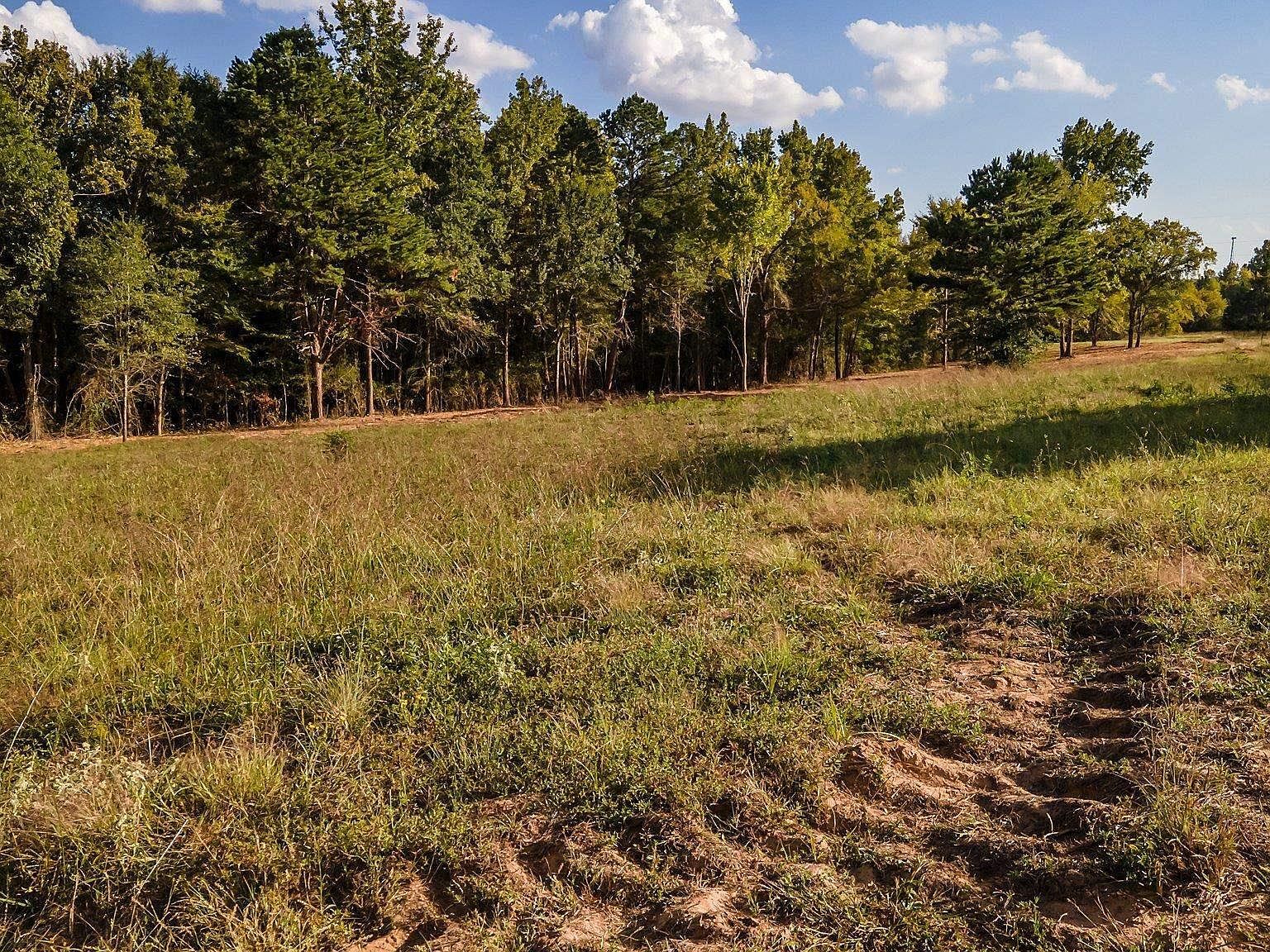 12127 County Road 497 Lindale, TX 75771 - Thumbnail 5