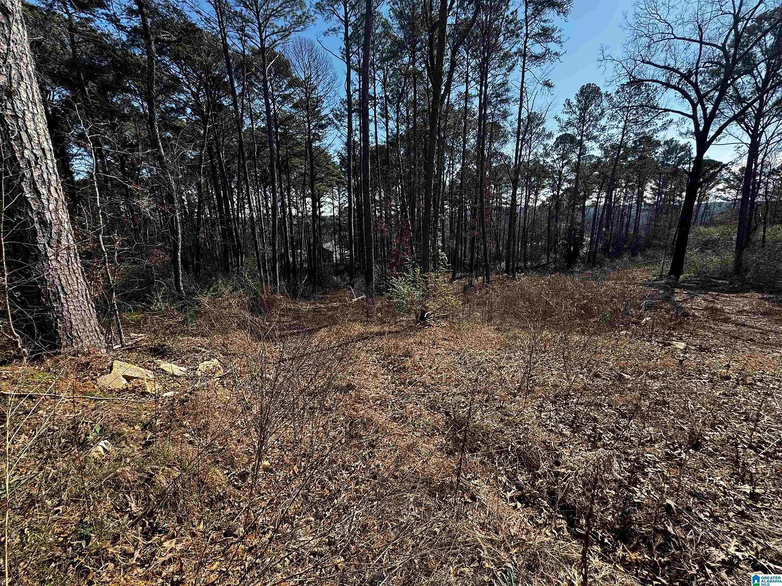 250 Twin Lawn Dr #1 Birmingham, AL 35217 - Thumbnail 5