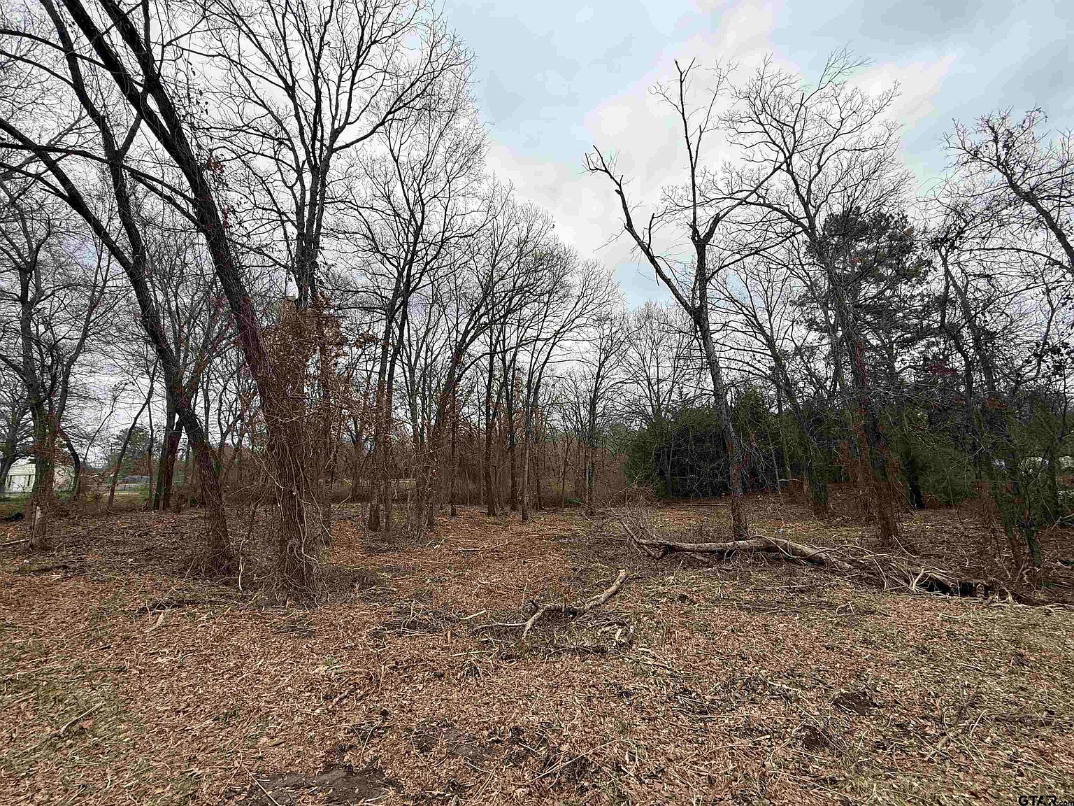 N Florence St Lot 8 Grand Saline, TX 75140 - Thumbnail 5