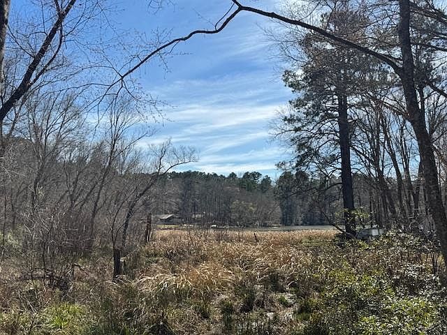 An County Rd #319 Frankston, TX 75763 - Thumbnail 5