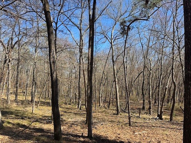 Anderson County Rd #319 Frankston, TX 75763 - Thumbnail 5