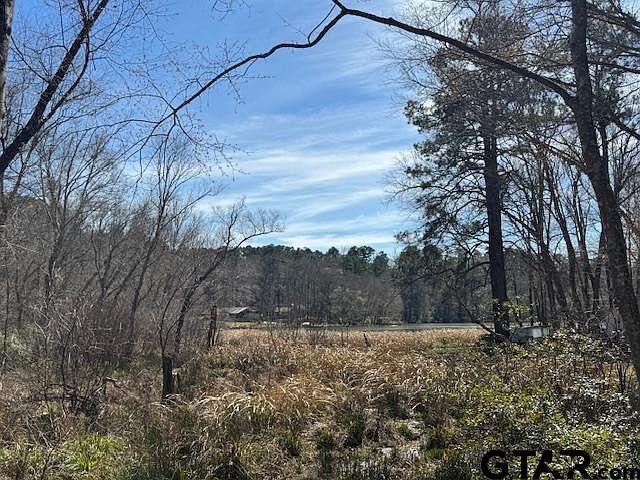 0 An County Rd #319 Frankston, TX 75763 - Thumbnail 5