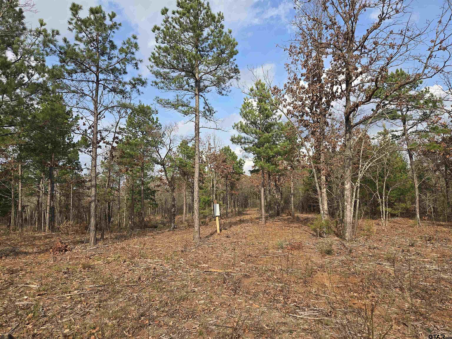 County Road 15 Acres #323 Lindale, TX 75771 - Thumbnail 5