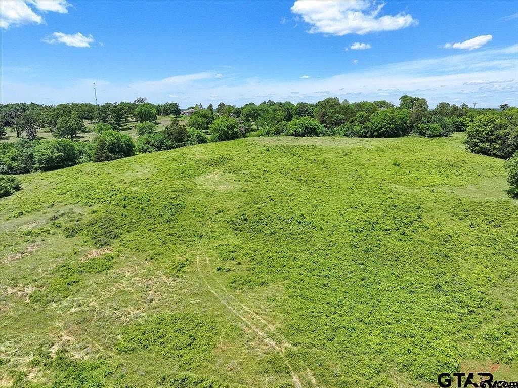 County Road 2493 Bullard, TX 75757 - Thumbnail 5