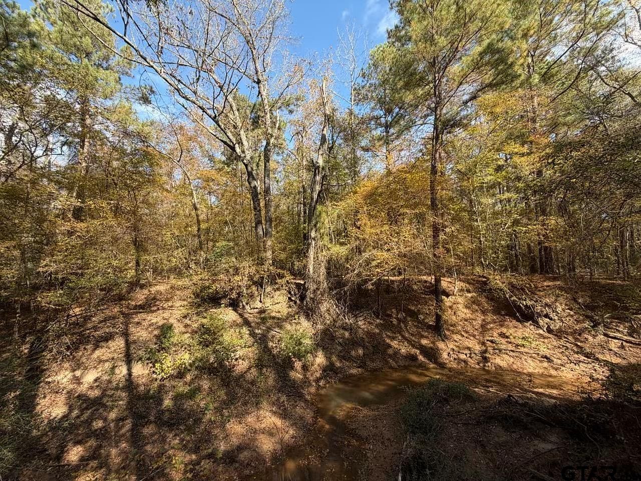 23791 State Highway 64 E #E Troup, TX 75789 - Thumbnail 5