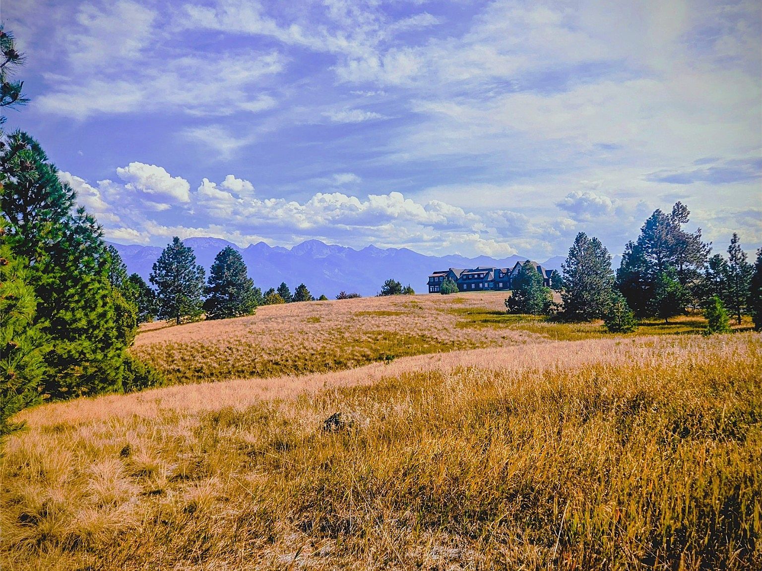 LOT 36 Southlake Crst Polson, MT 59860 - Thumbnail 5