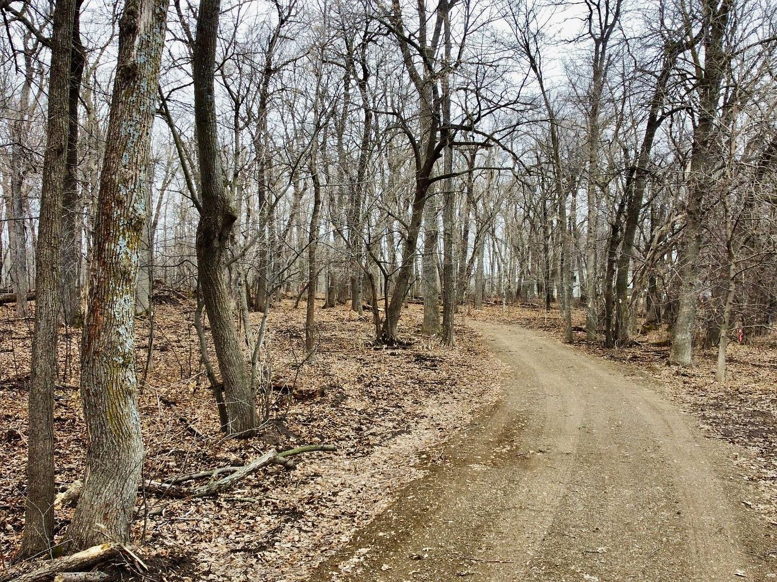 TRACT Linden St #C Garrison, MN 56450 - Thumbnail 5