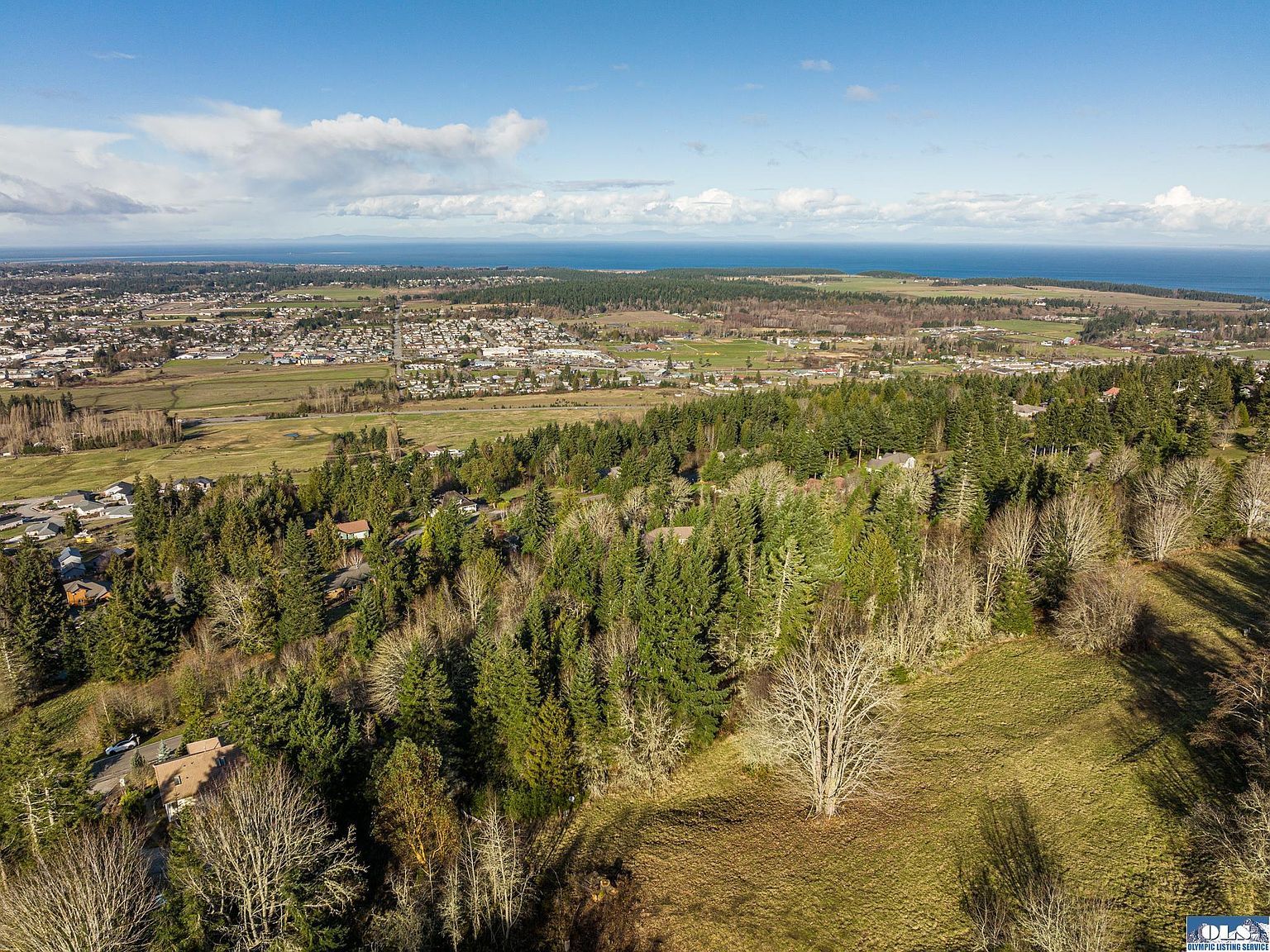 2 Owls Nest Rd Sequim, WA 98382 - Thumbnail 5