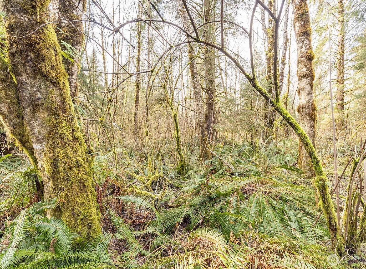 1 SW Amp Rdg Sekiu, WA 98381 - Thumbnail 5