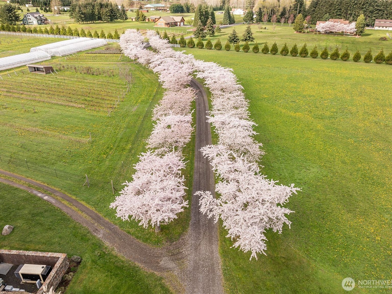 231 River Run Rd Sequim, WA 98382 - Thumbnail 5