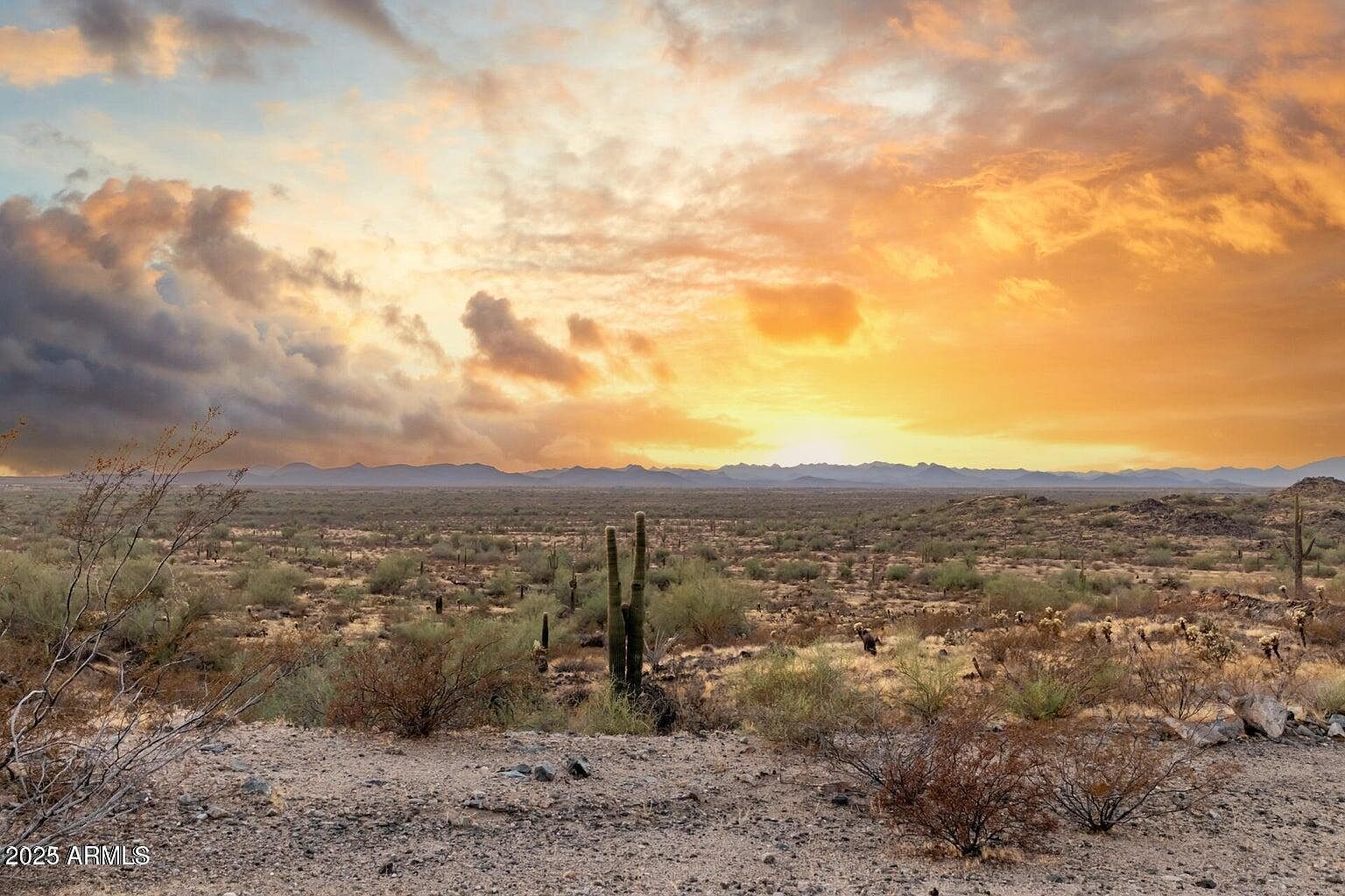 28894 N Chalfen Blvd LOT 21 Peoria, AZ 85383 - Thumbnail 5