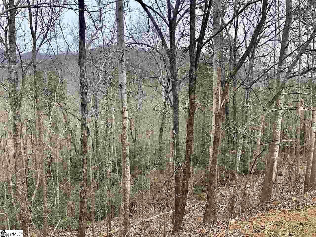 305 Sedgewick Rd Travelers Rest, SC 29690 - Thumbnail 5