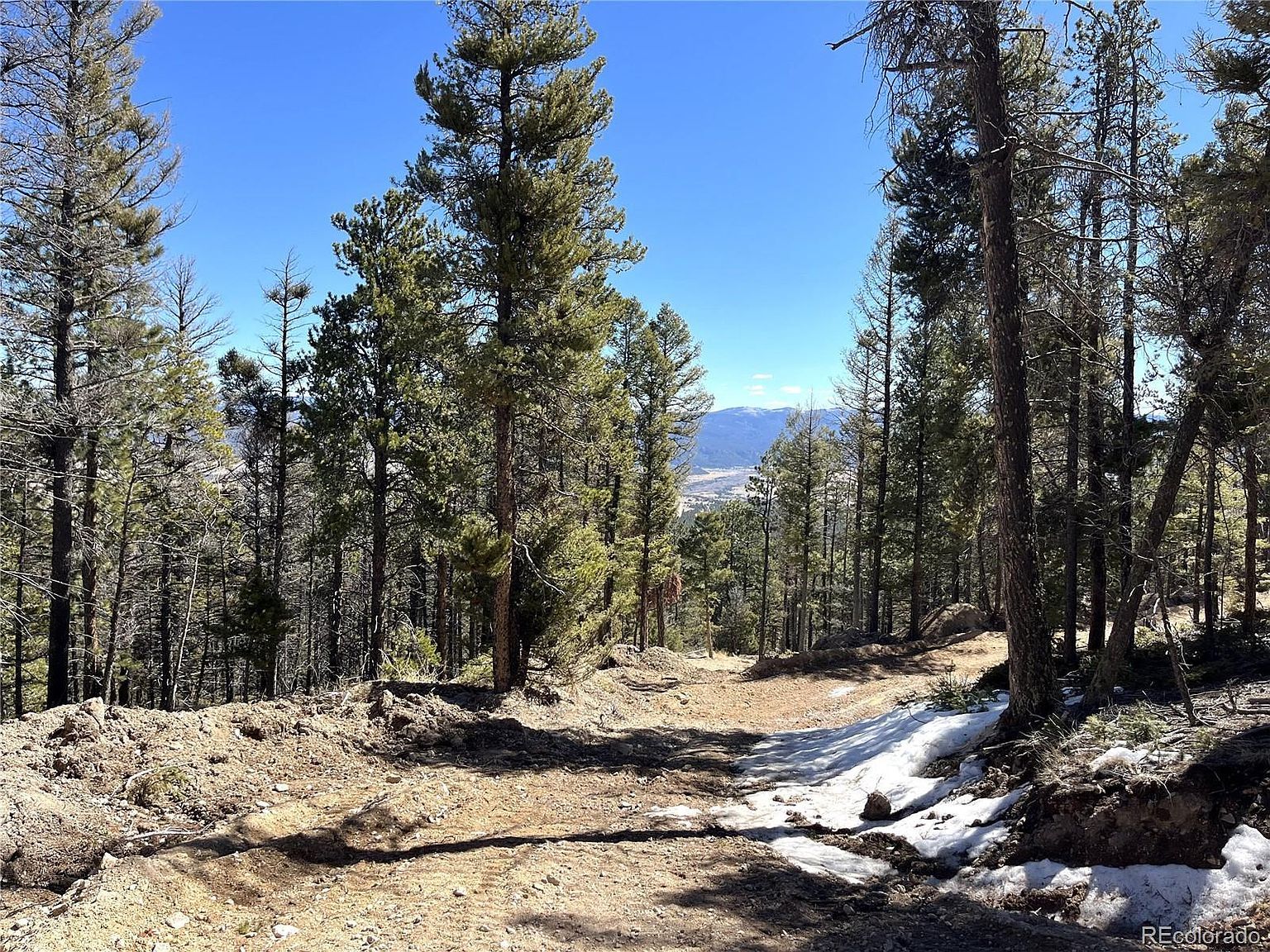 16872 County Road 325 Buena Vista, CO 81211 - Thumbnail 5