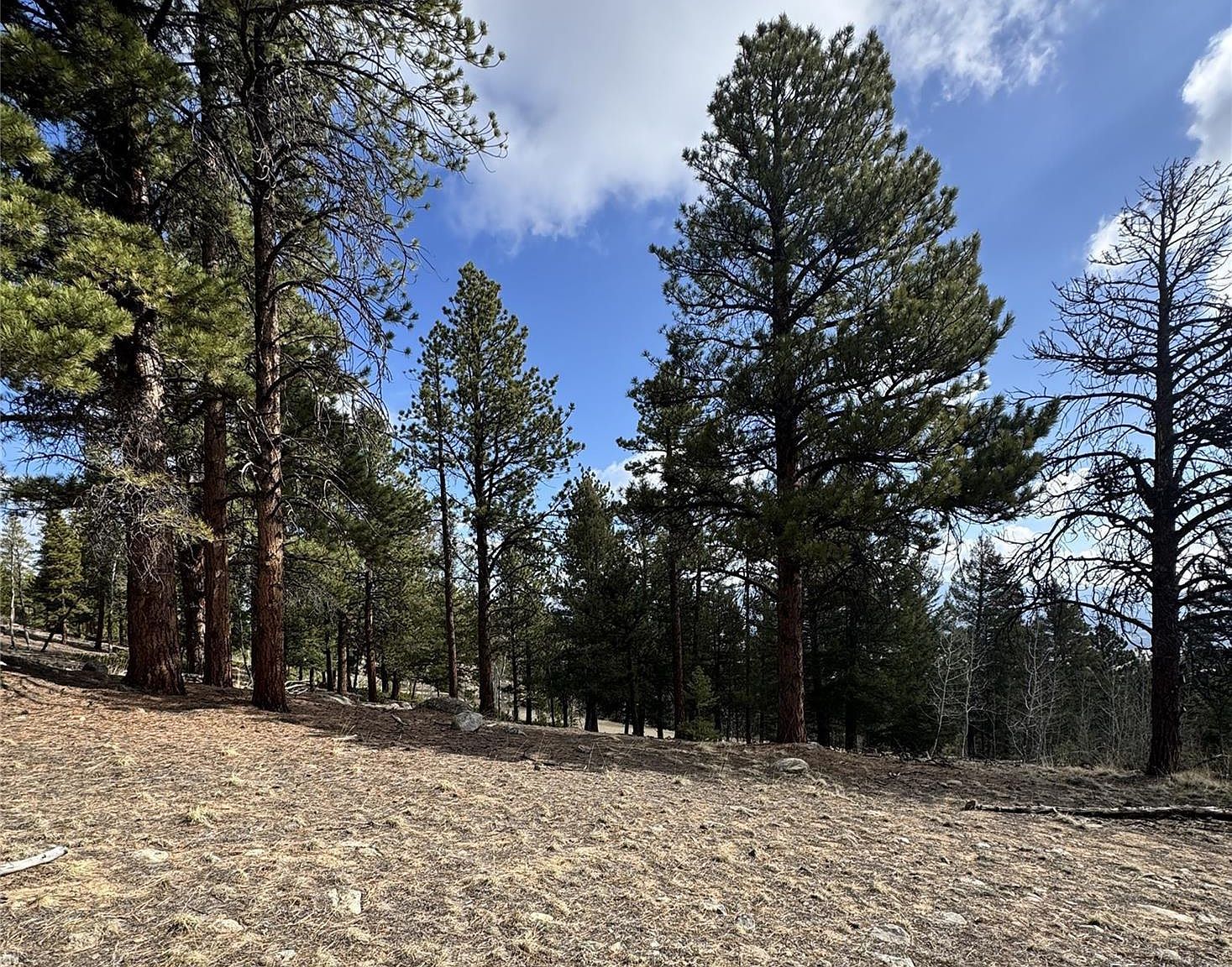 30317 Aspen Turn #26 Buena Vista, CO 81211 - Thumbnail 5