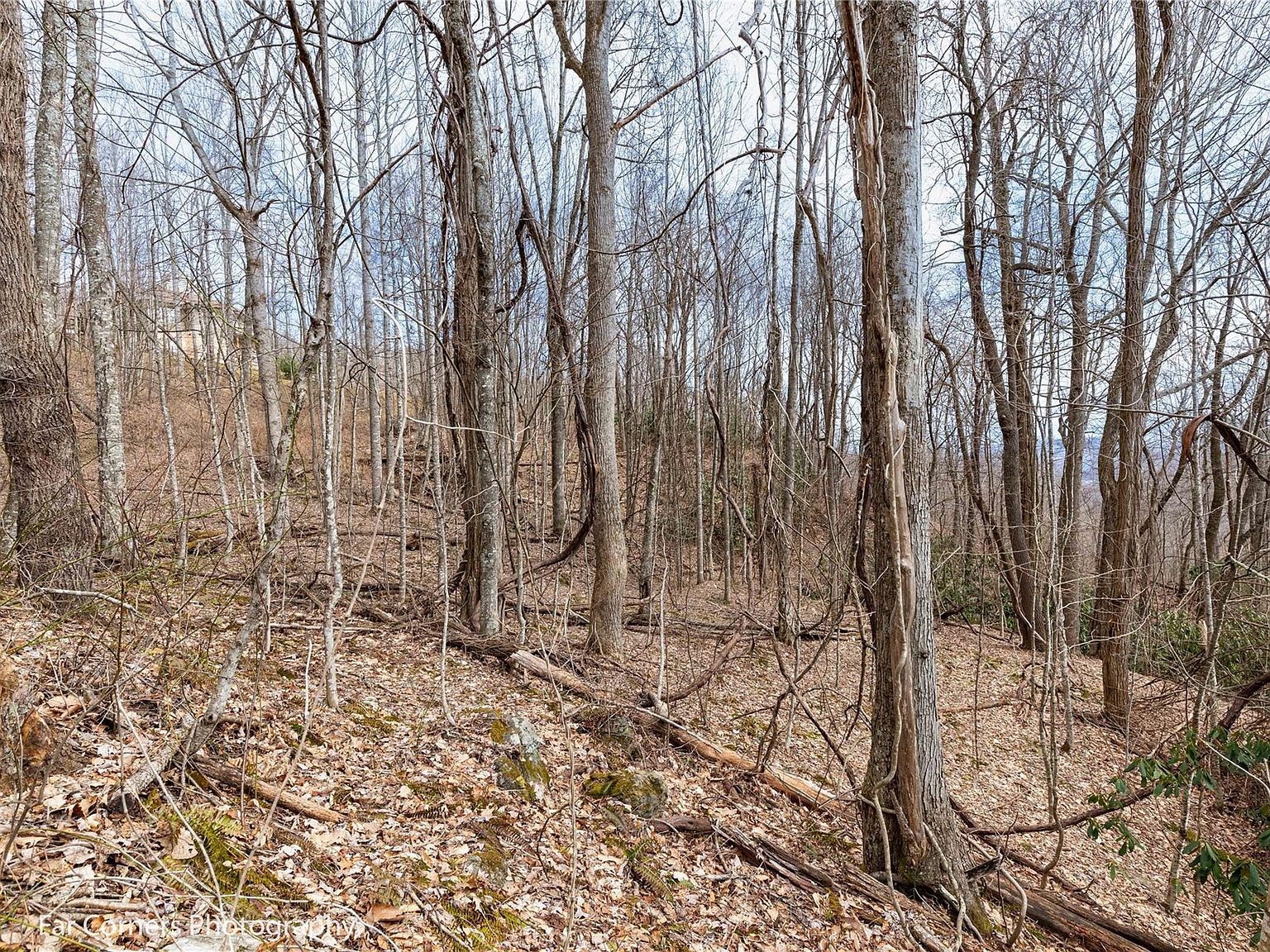 9 Chandra Ln Clyde, NC 28721 - Thumbnail 5