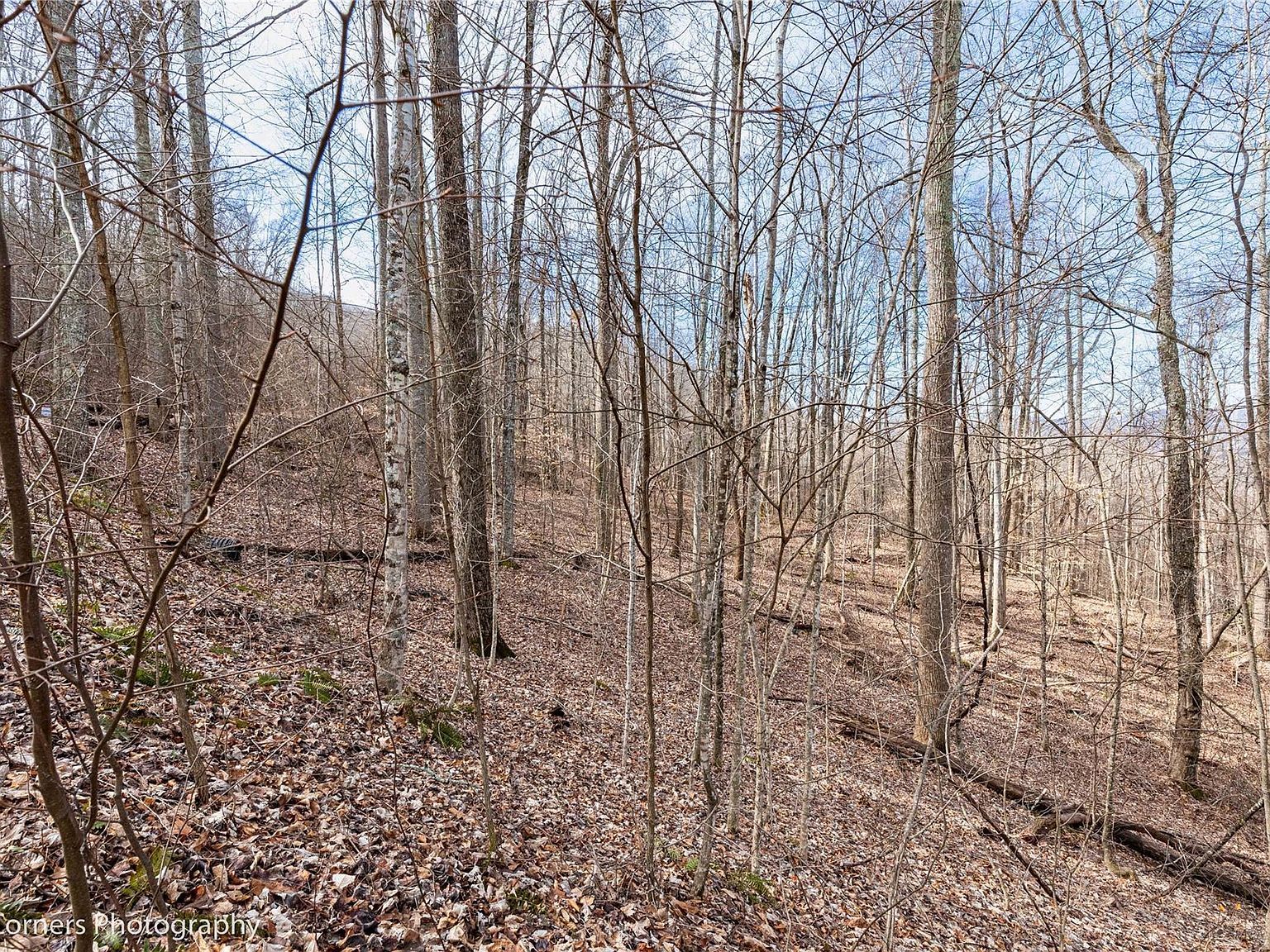 99999 Little Pond Pass #E21 Mars Hill, NC 28754 - Thumbnail 5