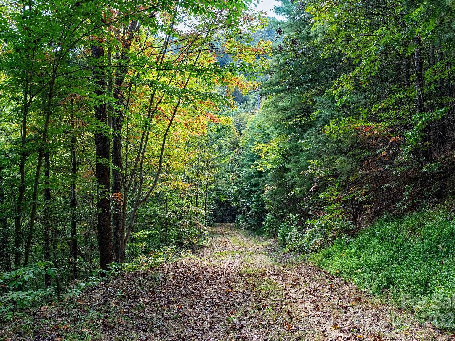 999 State Highway 209 #9 Hot Springs, NC 28743 - Thumbnail 5