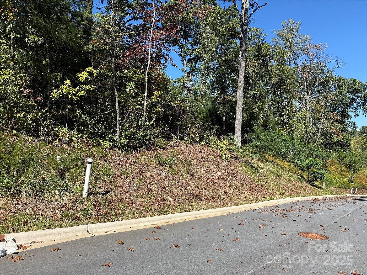 407 Fox Rd #72 Asheville, NC 28804 - Thumbnail 5