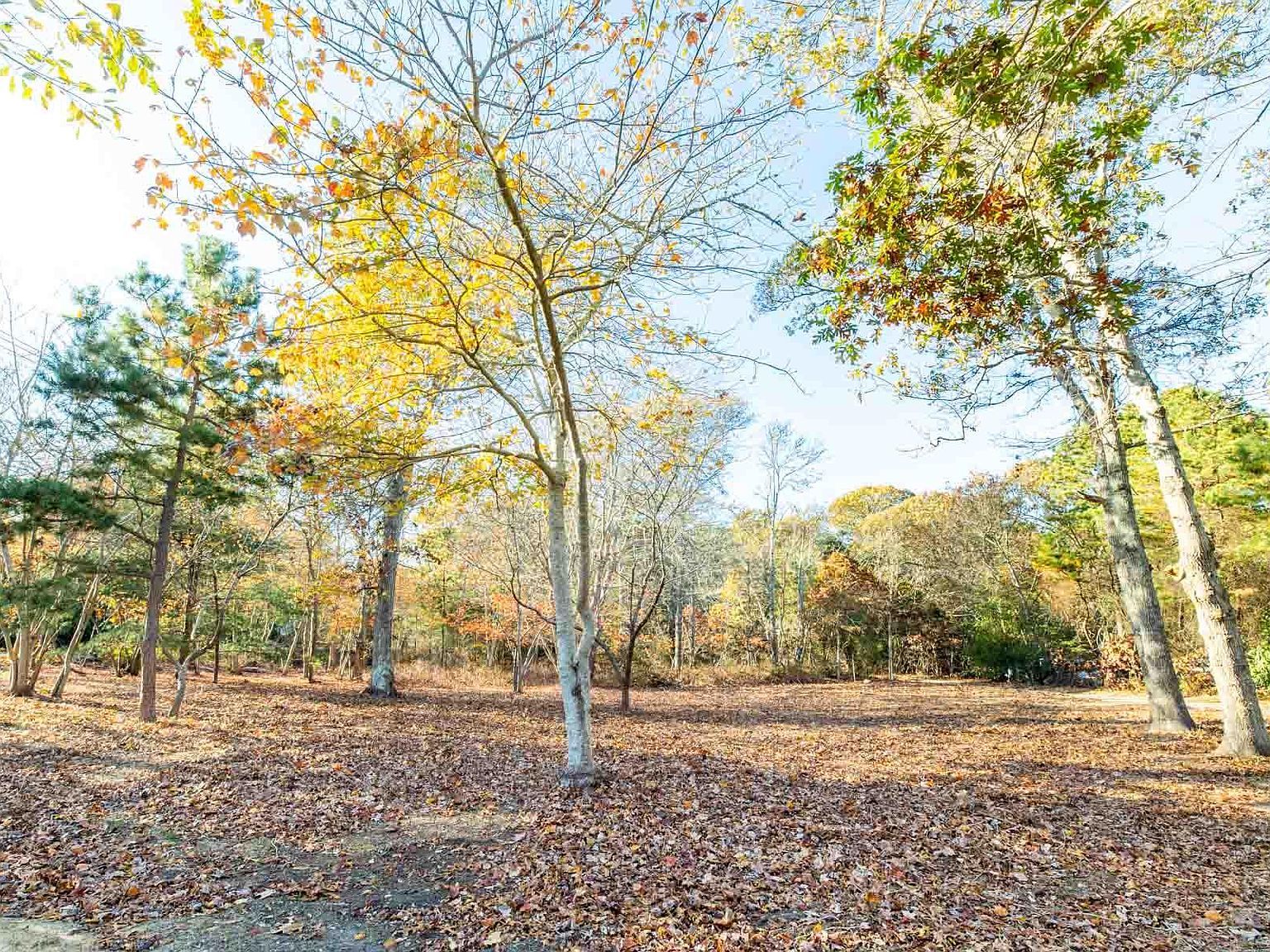 0 Barnes Rd Oak Bluffs, MA 02557 - Thumbnail 5