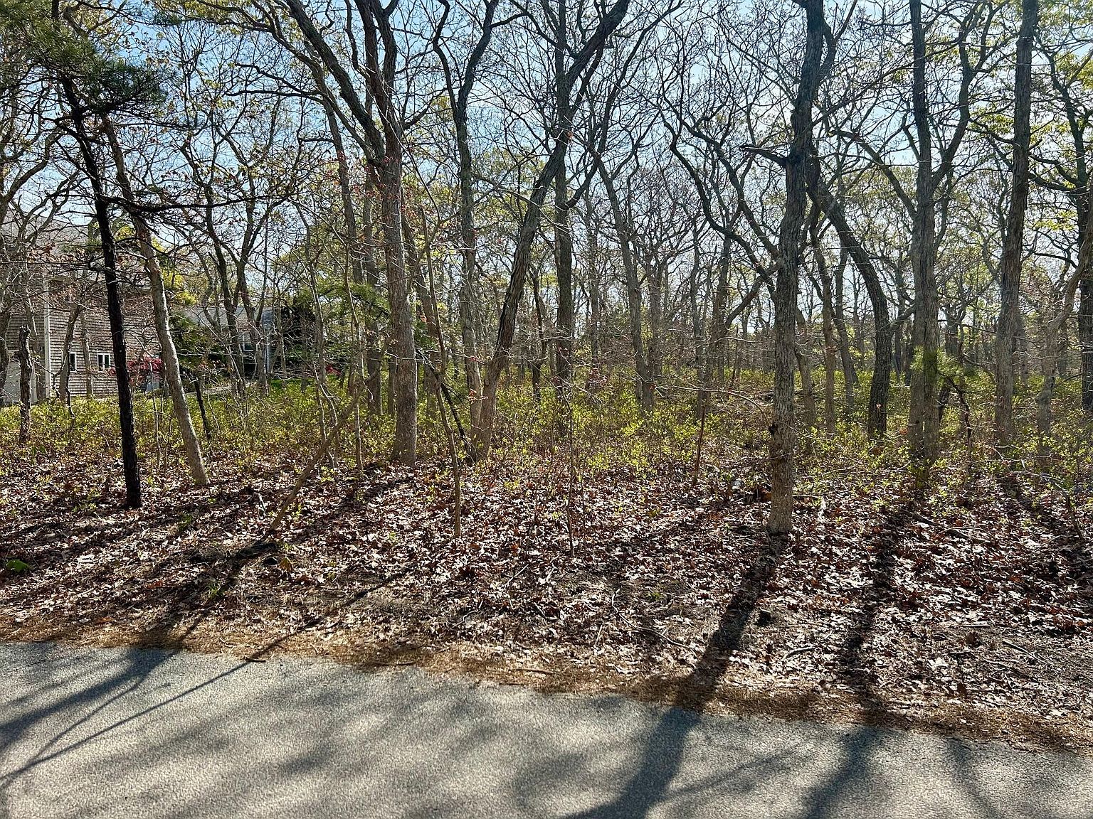 11 Boylston Dr Edgartown, MA 02539 - Thumbnail 5