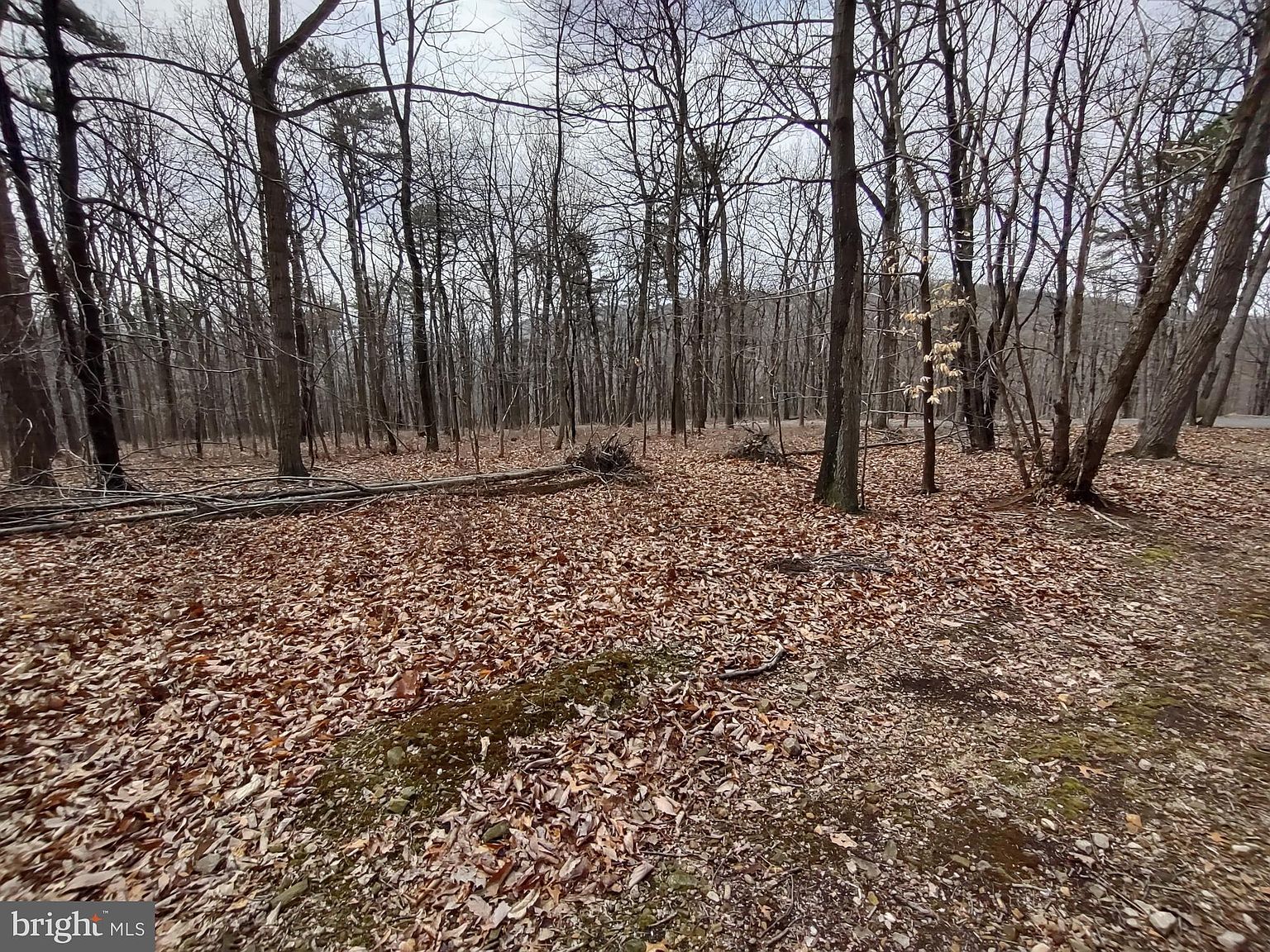 LOT Cold Springs Rd Dillsburg, PA 17019 - Thumbnail 5