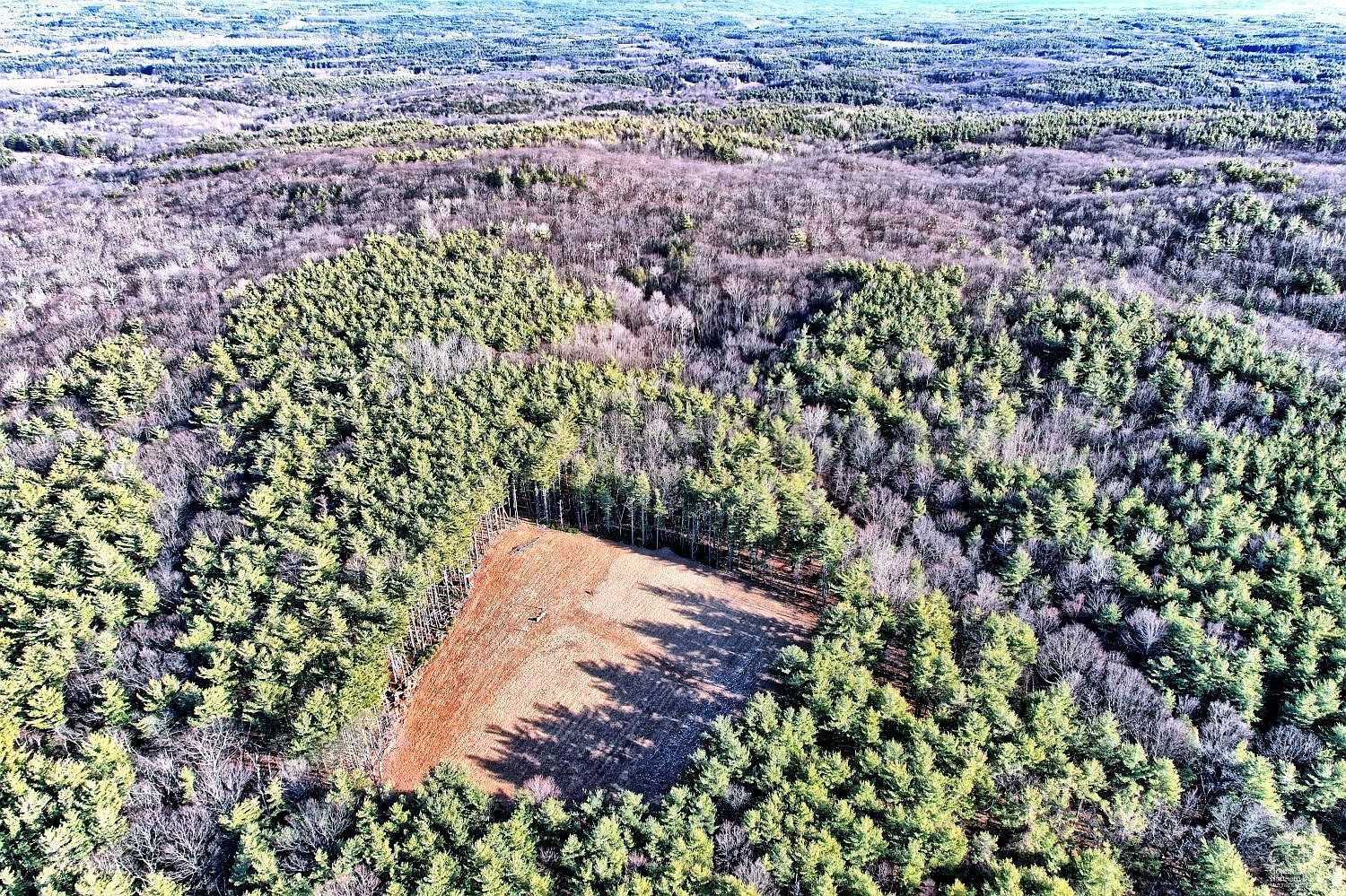 268 Hervey Street Rd Acra, NY 12405 - Thumbnail 5