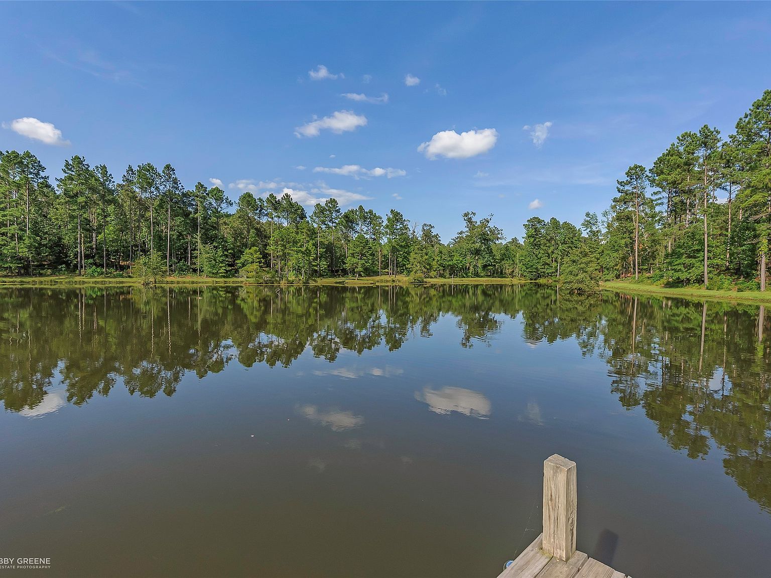 19229 Highway 157 Plain Dealing, LA 71064 - Thumbnail 5