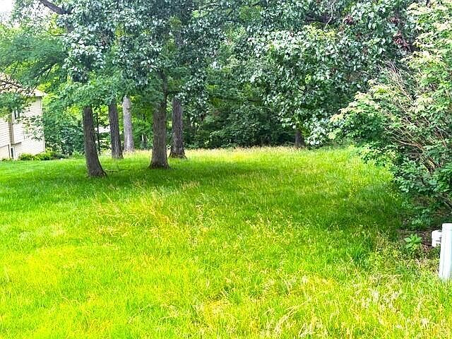 3-31 32 Mill Creek Shrs Lampe, MO 65681 - Thumbnail 5