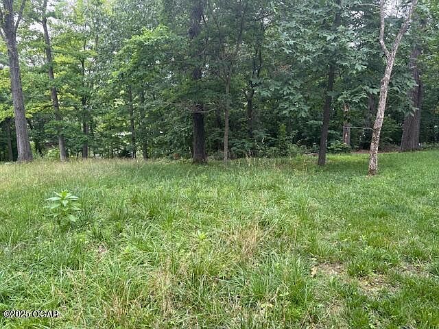 33-31 32 Mill Creek Shr Lampe, MO 65681 - Thumbnail 5