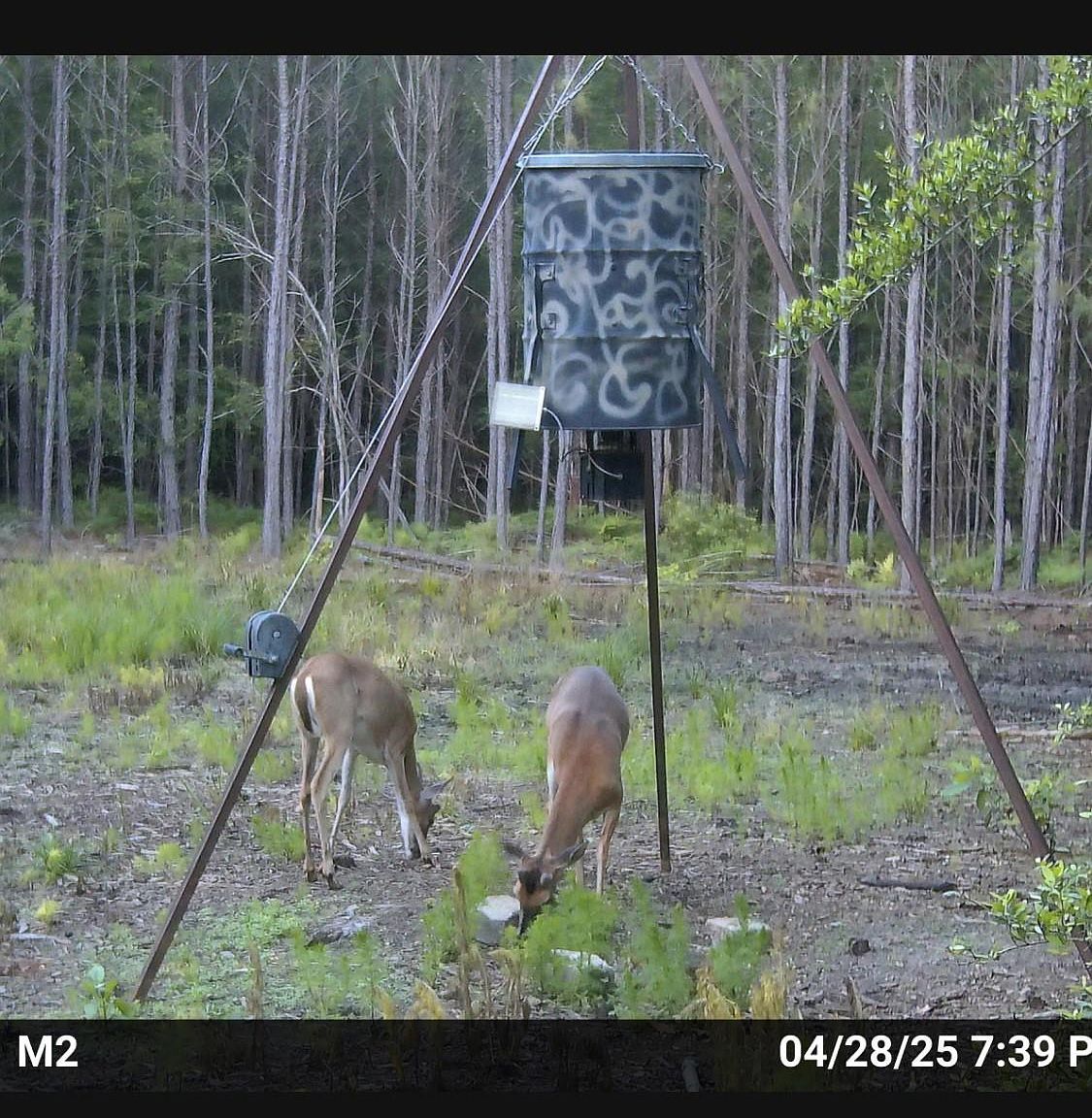 0 Langham Rd, Kountze, TX, 77625 - Thumbnail 5