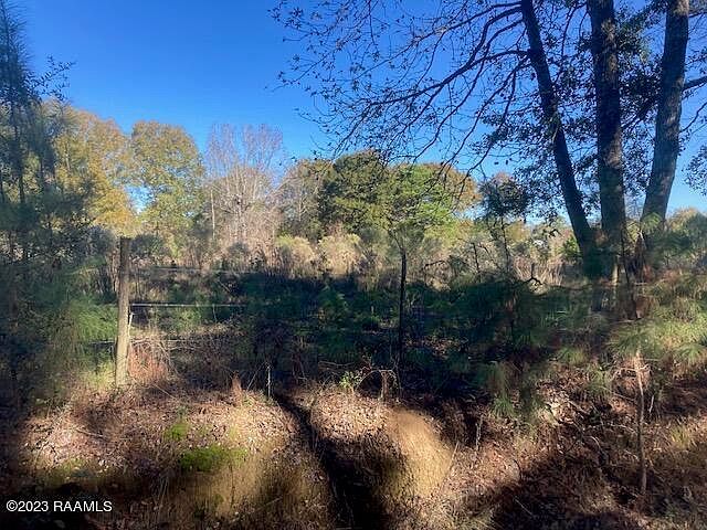 Landry Ln Eunice, LA 70535 - Thumbnail 5