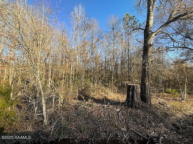 Heard Sylvester Rd Washington, LA 70589 - Thumbnail 5