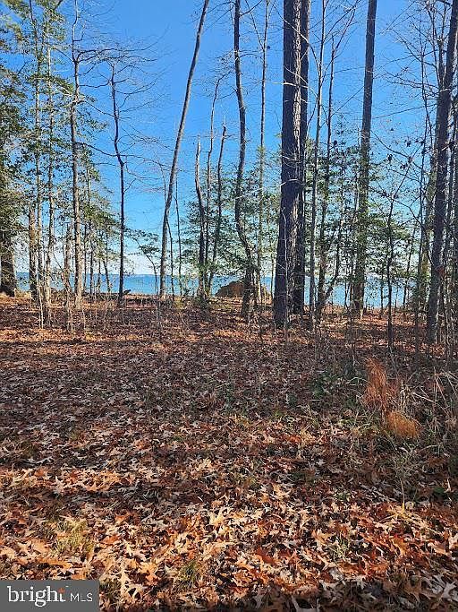 18500 Shipwreck Way Dameron, MD 20628 - Thumbnail 5