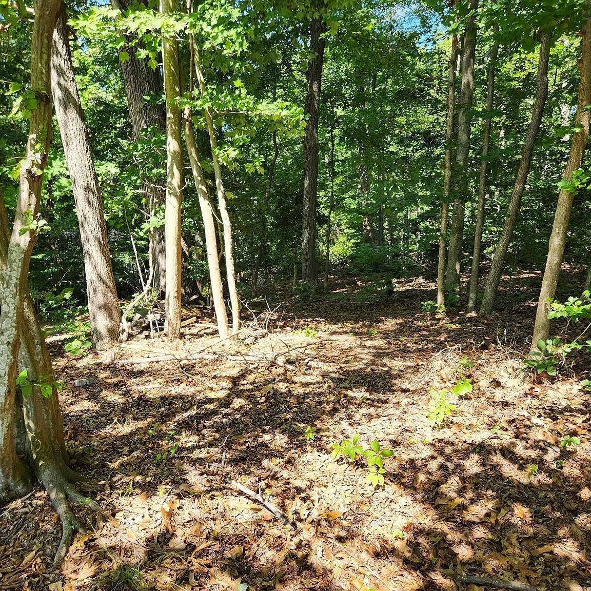 646 White Rock Rd Lusby, MD 20657 - Thumbnail 5