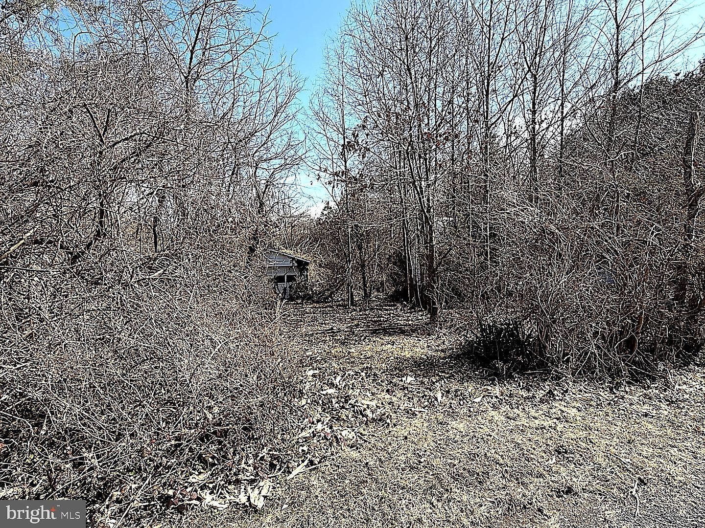 20910 Olen Mattingly Rd Avenue, MD 20609  | Single Family