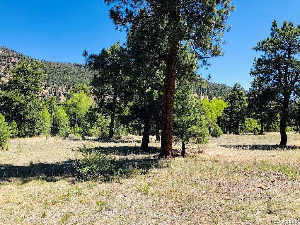 133 Canyon View Dr LOT 133 Antonito, CO 81120 - Thumbnail 5