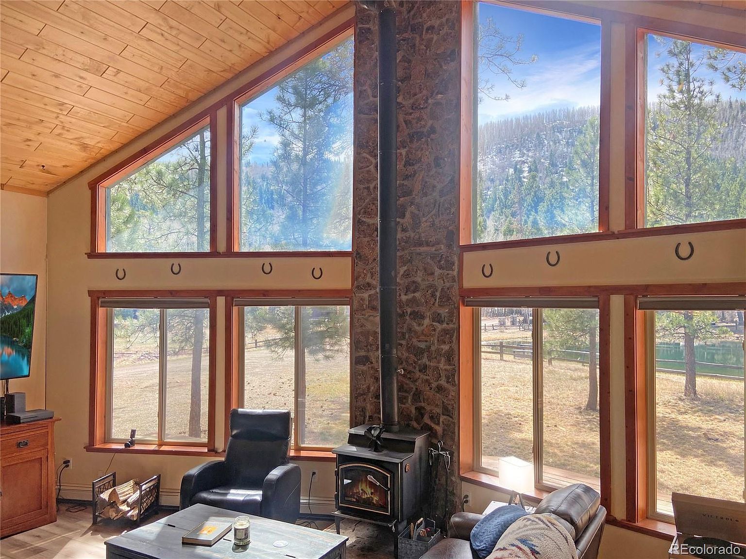 172 Elk Meadow Run Antonito, CO 81120 - Thumbnail 5