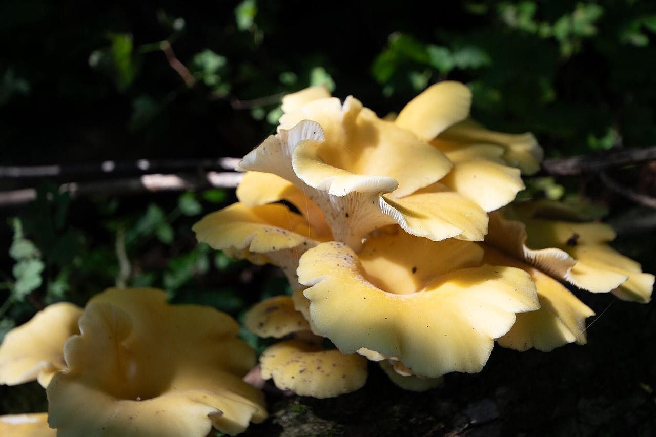 W2186 Eric Rd Markesan, WI 53946 - Thumbnail 5