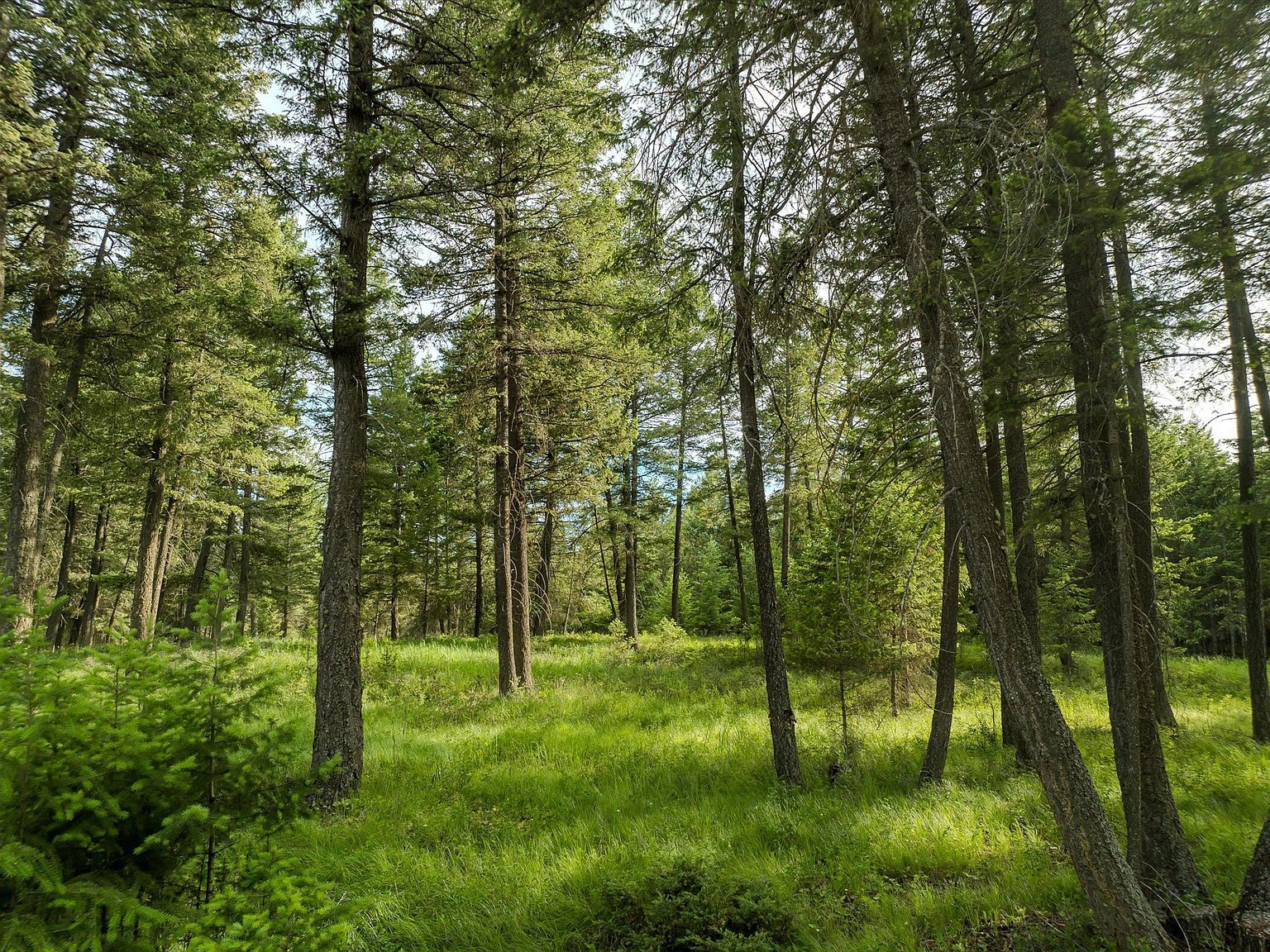 109 Lidstrom Rd, Whitefish, MT, 59937 - Thumbnail 5