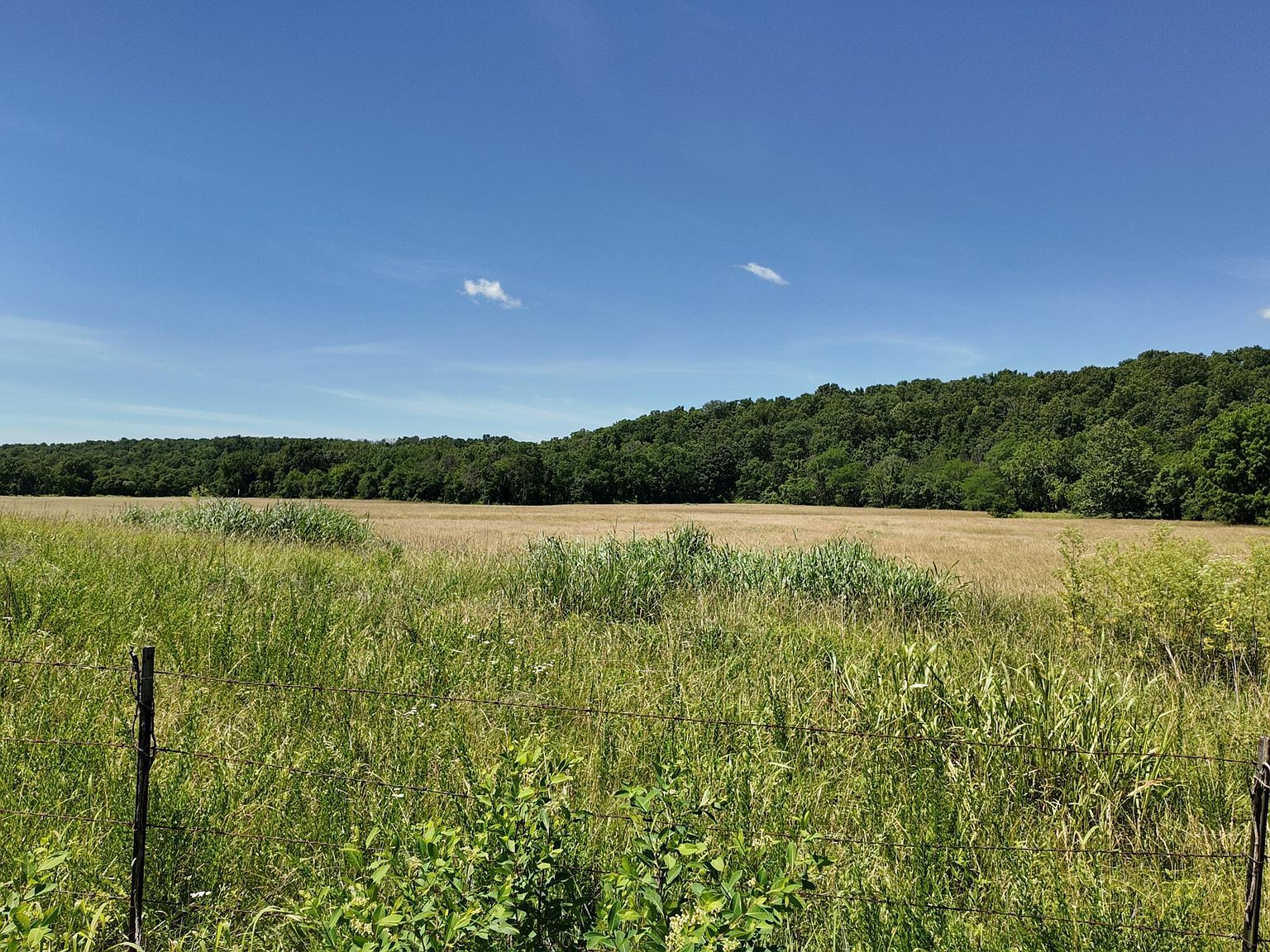 0 County Road 945 Thornfield, MO 65762 - Thumbnail 5