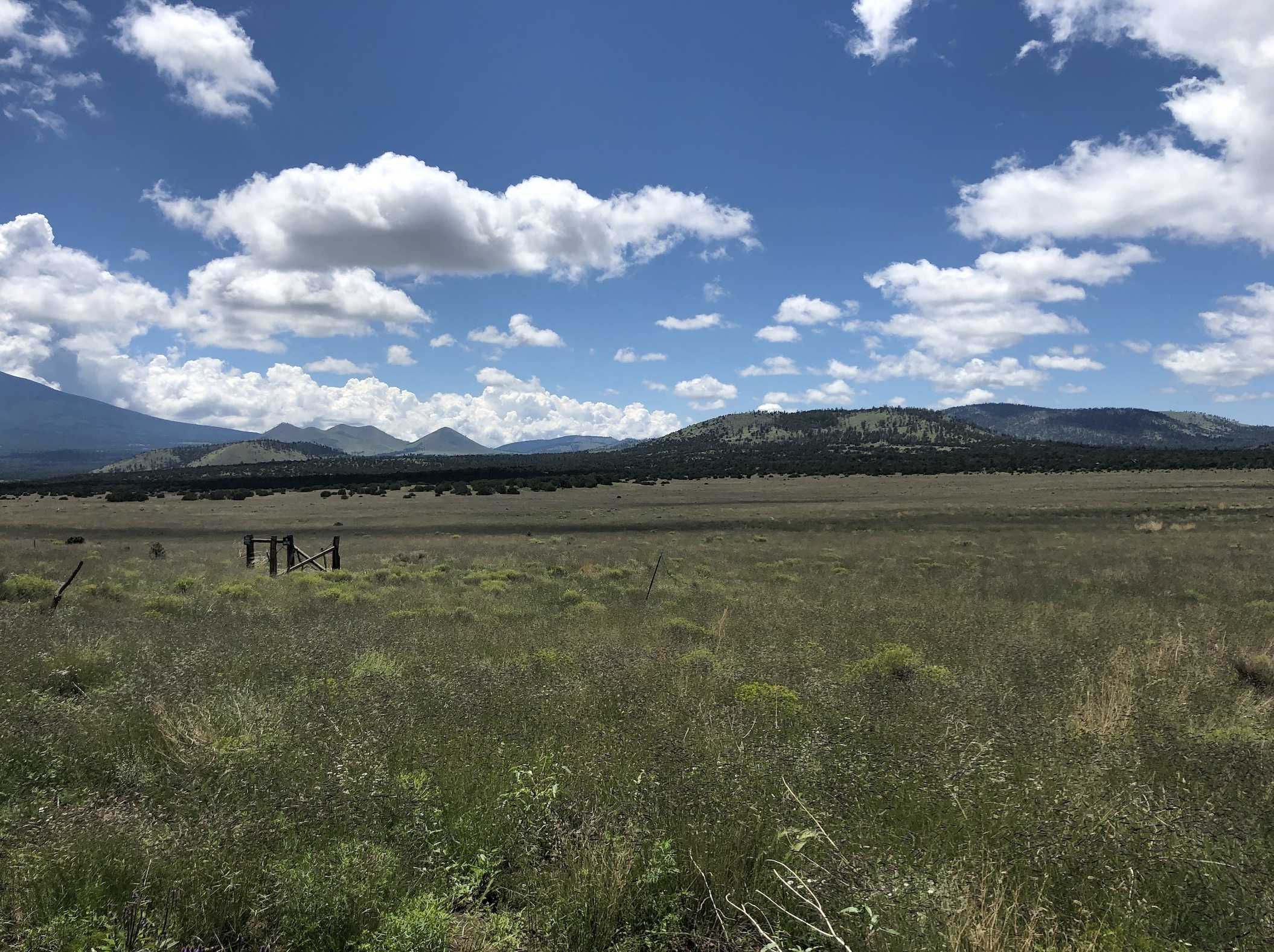 548 Forest Service Road, Flagstaff, AZ 86001, USA - Thumbnail 5