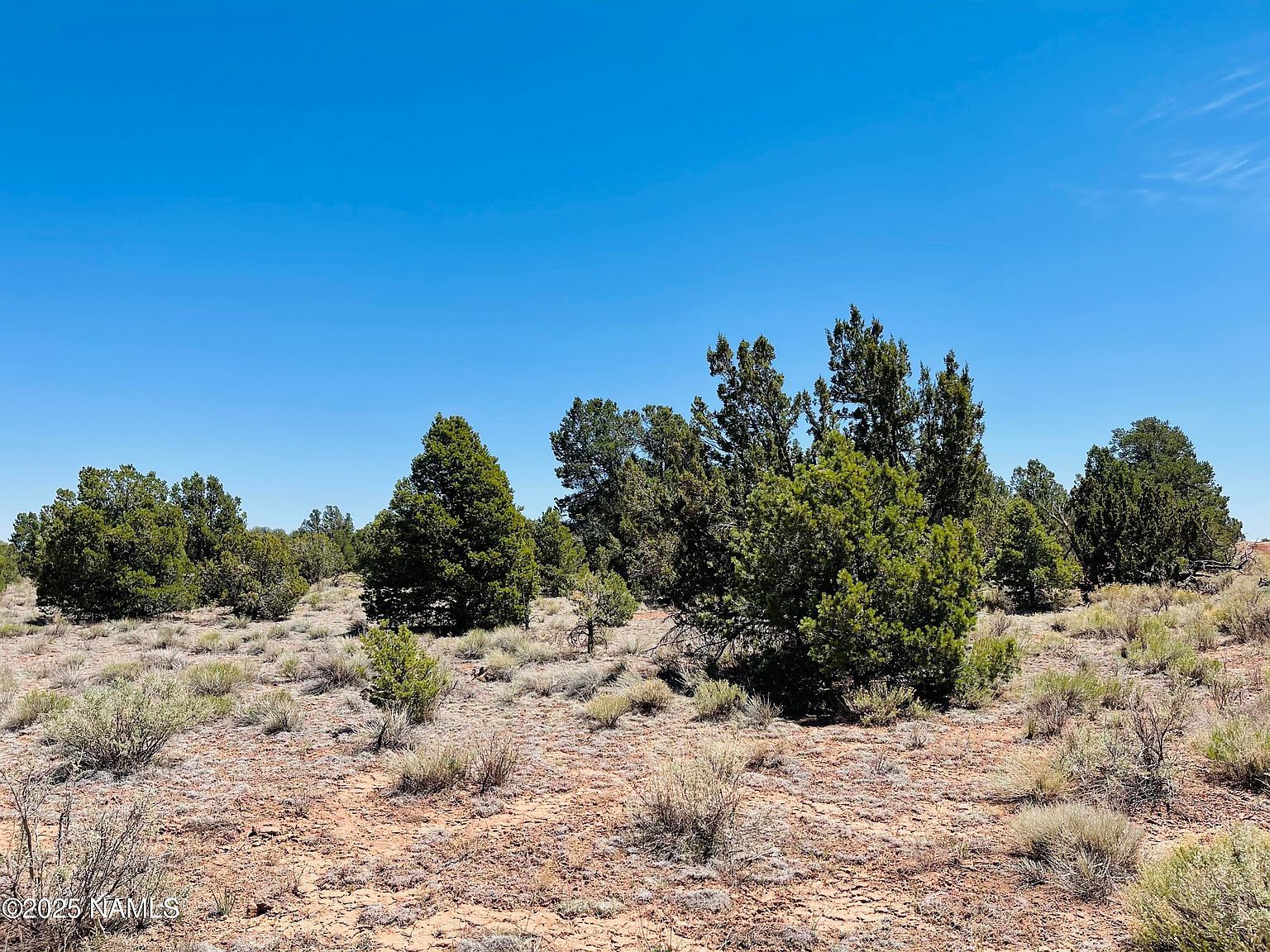 5390 N Windy Walk Way Williams, AZ 86046 - Thumbnail 5