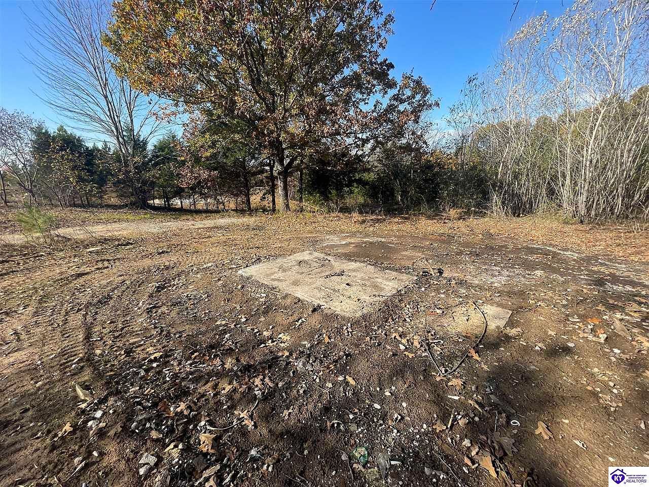 Morgantown Rd Caneyville, KY 42721 - Thumbnail 5