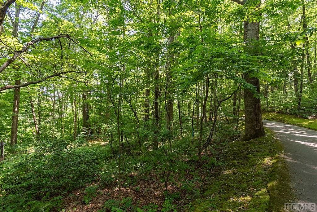 LOT 3 Lake Breeze Dr Cullowhee, NC 28723 - Thumbnail 5